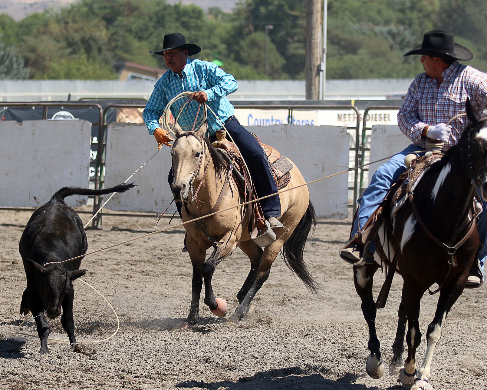 2018 Elko County Fair Open Branding Finals (2).JPG